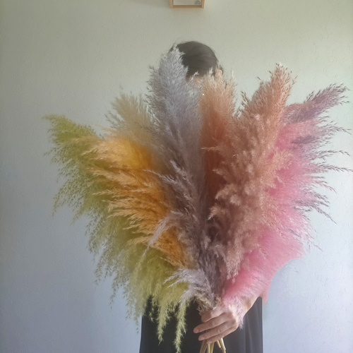 新入荷！選べるカラーパンパスグラスshort3本 クリスマス 秋冬