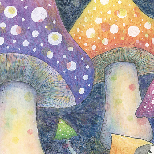 きのこの森 ポストカード / グッズ きのこ 秋 水彩 イラスト 猫 絵本風