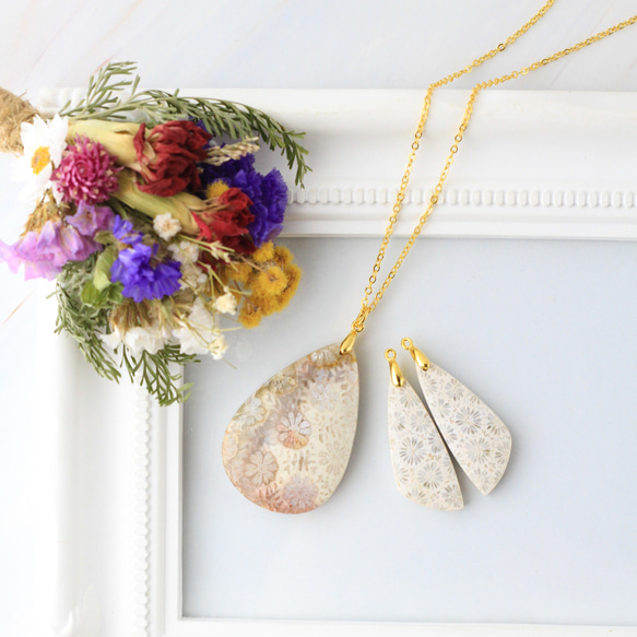 白妙◆パープルフォッシルコーラル フォッシルコーラル[237] 41x25mm 50Cts 天然石ルース / 天然石