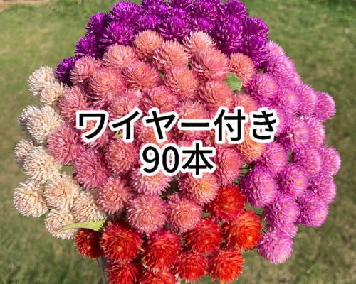 91b7c142b770c48bc002f5625627eb