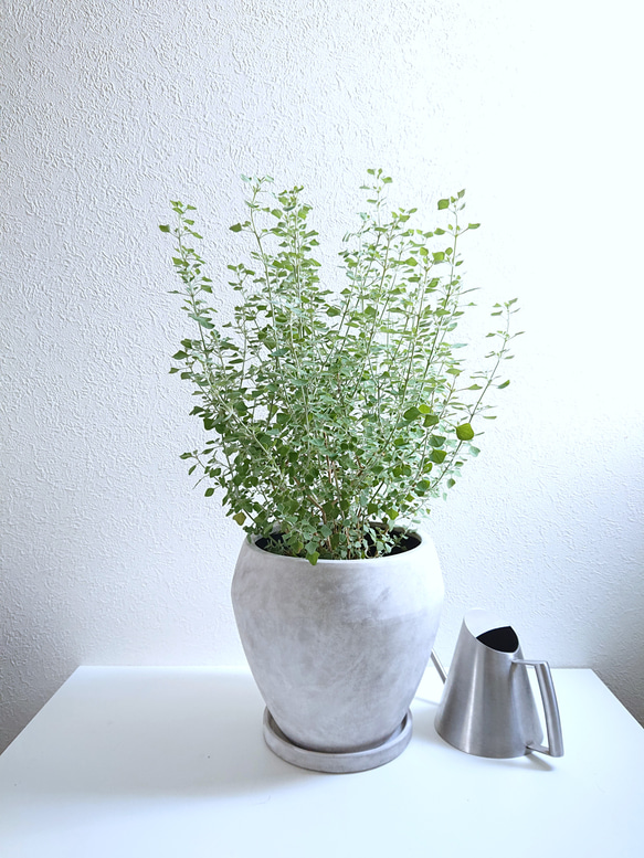 美品　  309 シルバーブローチ　バード　鳥　リーフ　葉 美品 GEORG JENSEN 309 シルバーブローチ バード 鳥 リーフ 葉