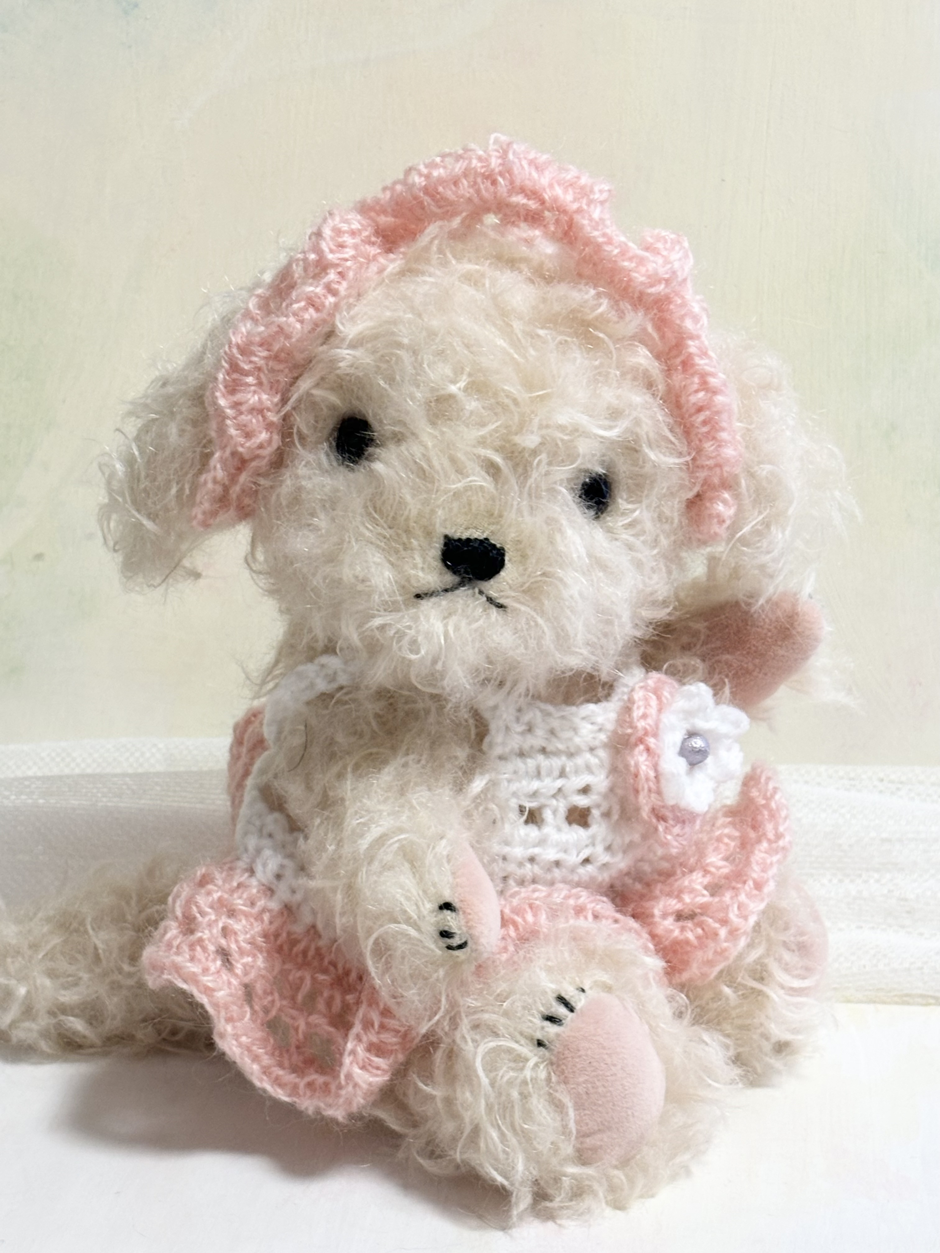 トイプードルの姫ちゃんトイプーテディベアスタイル