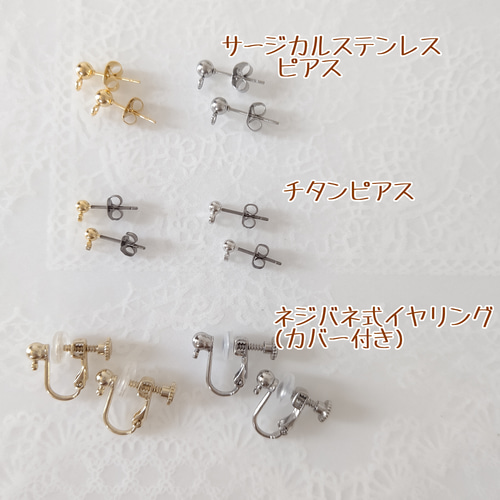 オオルリアゲハ ブラック 羽ばたく蝶々 黒い蝶。ブラックバタフライ