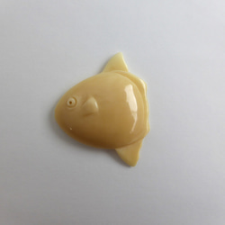 鯨歯　マッコウクジラ　牙玉　約15.5㎜　③ 蔵出し/鯨歯 重さ約640グラム マッコウ鯨 マッコウクジラ 牙 鯨
