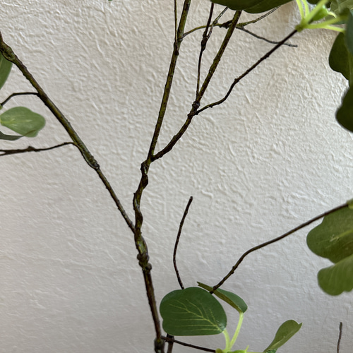 枝アート 糸模様 on X