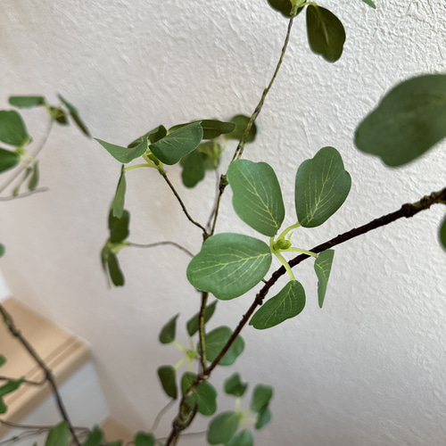 枝アート 美術の森 on X