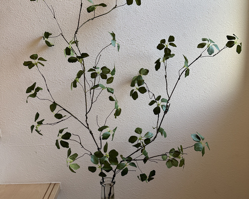 アートグリーンbyとんぼページ f88391238127556a382c291dfdd068