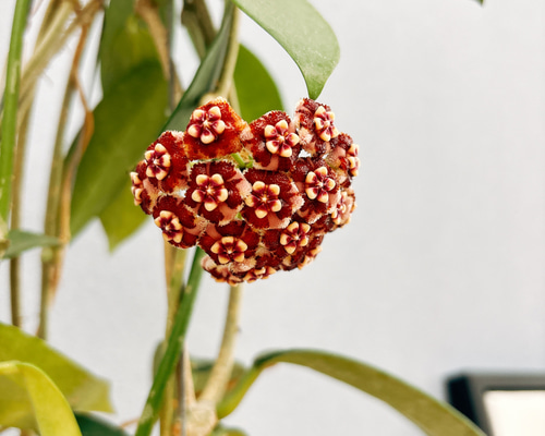 3ee87152e27ae84d9d9df7fb808425