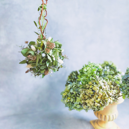 アイスグリーンの爽やかな紫陽花フライングリース