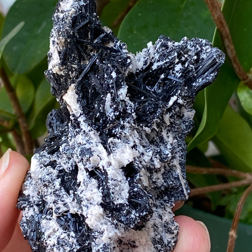 ブラックトルマリン 原石 04 ニードルトルマリン 天然石 天然色 その他