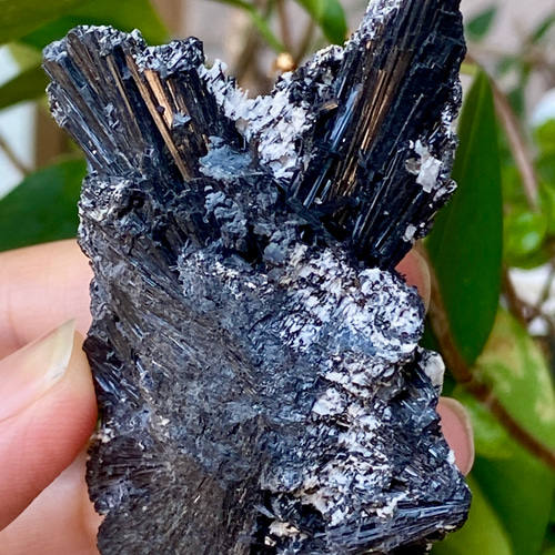 ブラックトルマリン 原石 04 ニードルトルマリン 天然石 天然色 その他