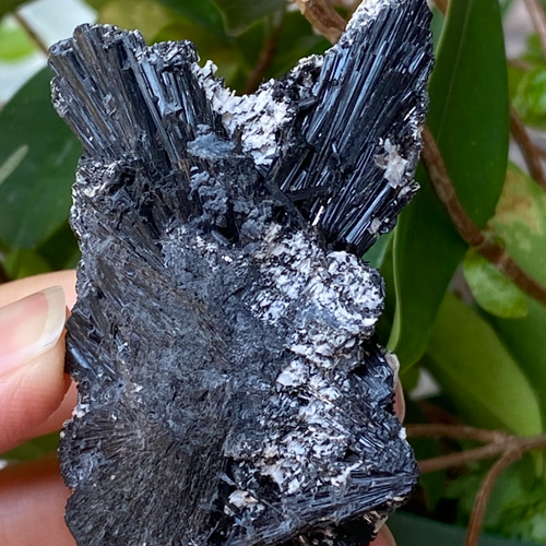ブラックトルマリン 原石 04 ニードルトルマリン 天然石 天然色 その他