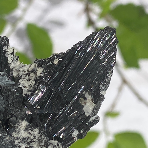 ブラックトルマリン 原石 04 ニードルトルマリン 天然石 天然色 その他