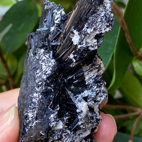 ブラックトルマリン原石 ブラックトルマリン 原石 04 ニードルトルマリン 天然石 天然色 その他