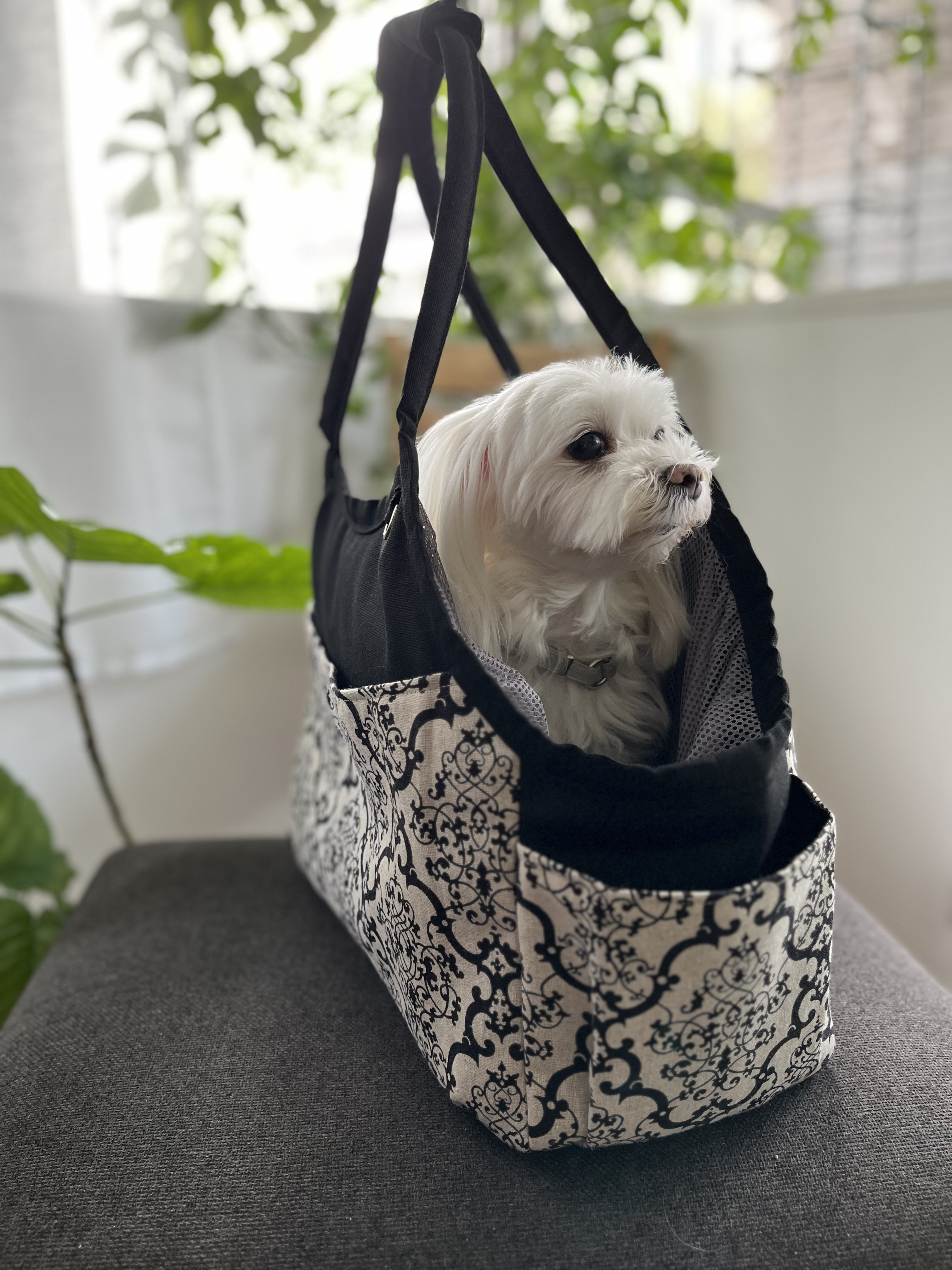 ペット用キャリーバッグ (Mサイズ) 飛び出し防止リード、メッシュネット付き