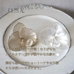 シアー胡蝶蘭と金箔付き◆成人式、結婚式、和装髪飾り　振袖や白無垢、前撮り、水引き 3枚目の画像