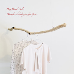 流木インテリア うねりを描く大型流木のハンガーラック 北欧 衣装掛