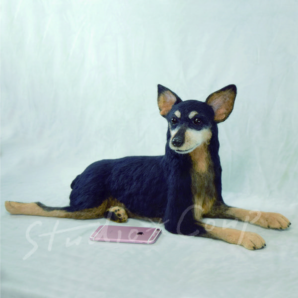 うちの子  お写真から大切なペットさんをリアルにお作りします。ご購入前にまずはメッセージでご相談ください^_^
