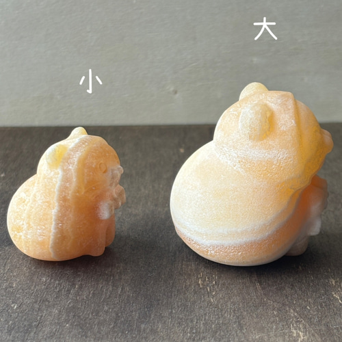 オレンジカルサイト☆猫ちゃん☆45mm or 33mm ☆瀧川神社にて浄化