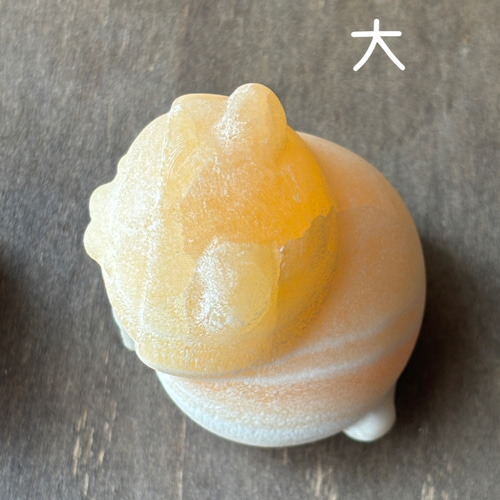 オレンジカルサイト☆猫ちゃん☆45mm or 33mm ☆瀧川神社にて浄化