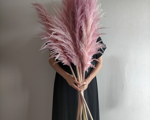 95d0c6de5fd3720870eccc3fdf8e9d