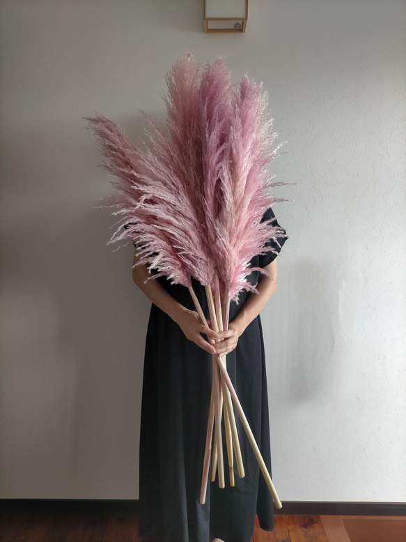 大人気パンパスグラス アメジストピンク3本セット ドライフラワー
