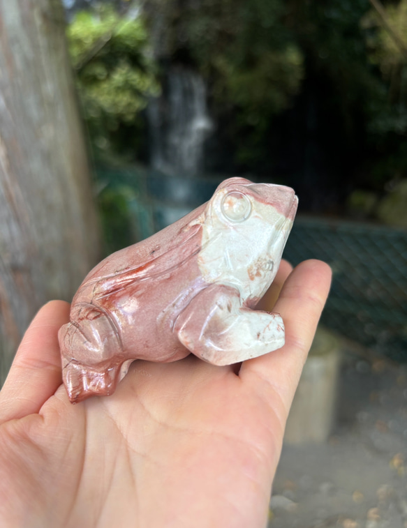 レア！！ピクチャージャスパー☆ピンク☆カエルさん☆瀧川神社にて浄化