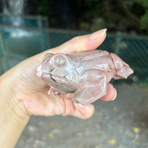 レア！！ピクチャージャスパー☆ピンク☆カエルさん☆瀧川神社にて浄化