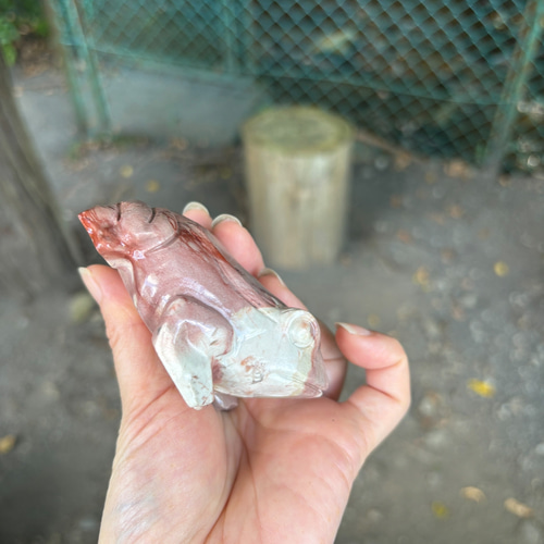 レア！！ピクチャージャスパー☆ピンク☆カエルさん☆瀧川神社にて浄化