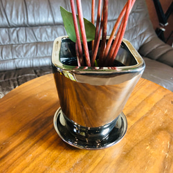 新作『ペペロミア・サンデルシー』4号　メタリック　シルバー鉢　受け皿付き　観葉植物　インテリア　多肉植物 4枚目の画像