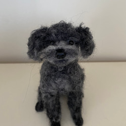 KIIKO 羊毛フェルト オーダー 犬 ペット イヌ 羊毛フェルト KIIKO 通販