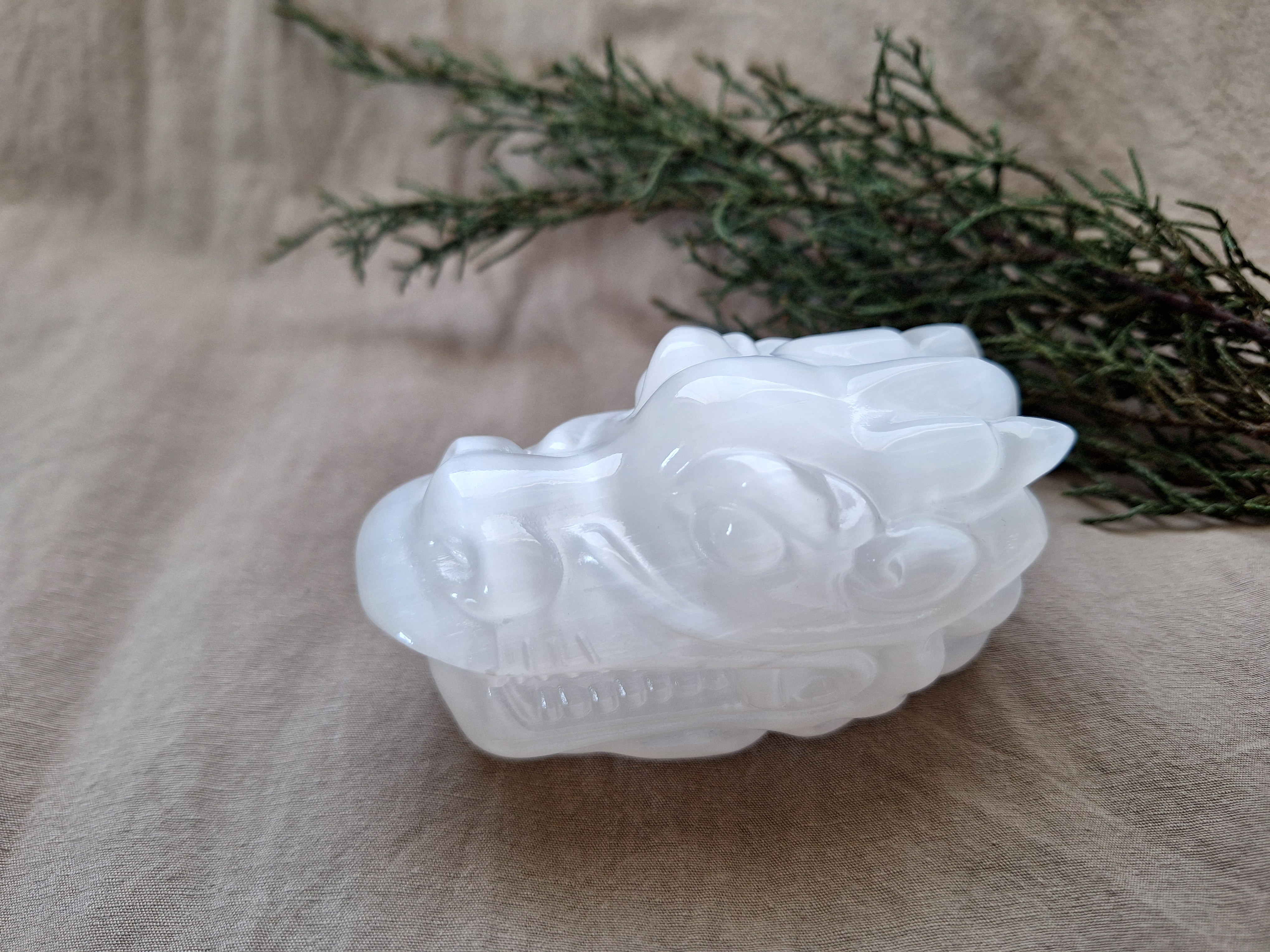 セレナイト  ドラゴンヘッド