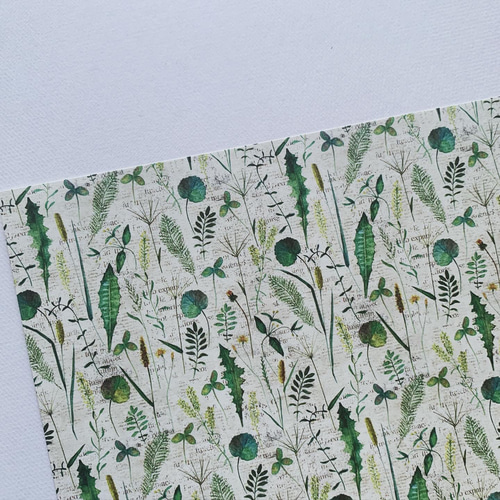 オリジナル デザインペーパー ハーブ A4 10枚 包装紙・ラッピング  