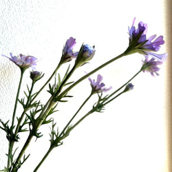 手染め布花 春の歌⓸ 薔薇1枝 玄関・和洋の空間・お部屋のインテリア