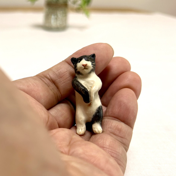 nekogao online shopをご利用いただき誠にありがとうご