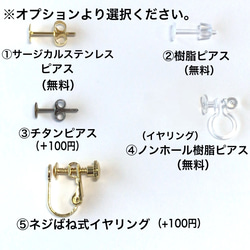 つぶつぶ　いちご　小ぶり　フルーツ　果物　ミニチュア　レジン　金属アレルギー対応　ピアス/イヤリング 7枚目の画像