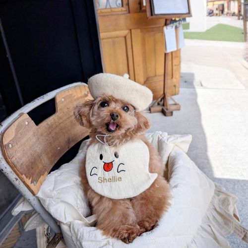 小型犬サイズ】おばけスタイ うちの子 スタイ犬 猫 名入れ刺繍