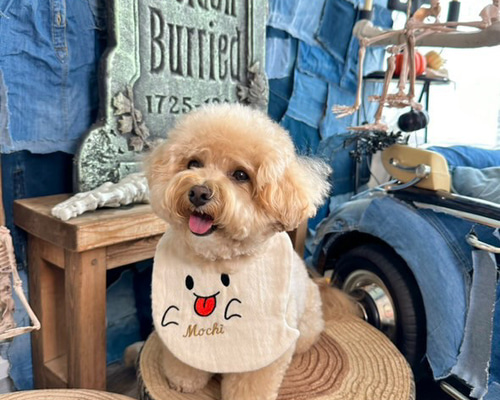 小型犬サイズ】おばけスタイ うちの子 スタイ犬 猫 名入れ刺繍