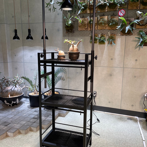 塗装前完成品多様型アイアンラックアイアン植物棚