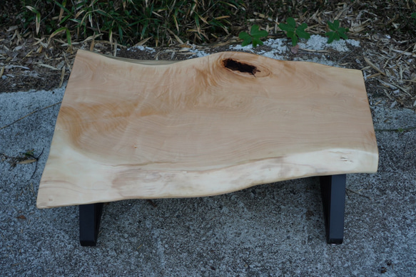 送料無料】栃の耳付き一枚板テーブル ローテーブル・リビングテーブル