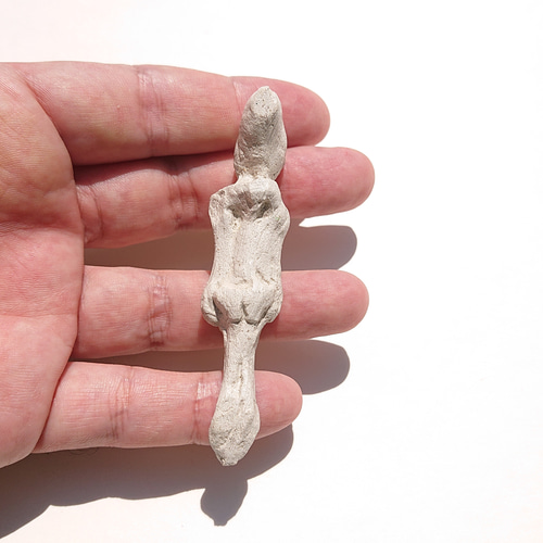 発見！宇宙人のミイラ 立体・オブジェ ノップ 通販 18247390｜Creema