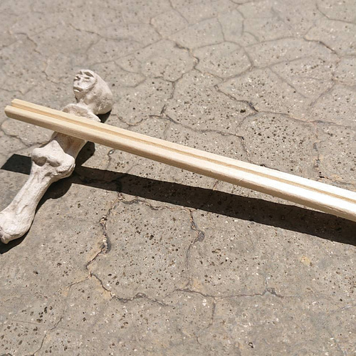 発見！宇宙人のミイラ 立体・オブジェ ノップ 通販 18247390｜Creema