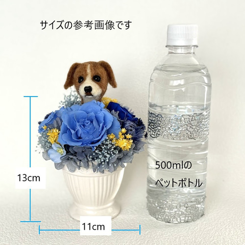 ちょこんと顔出す ダックスフンド(中央）＆ プリザーブドフラワー