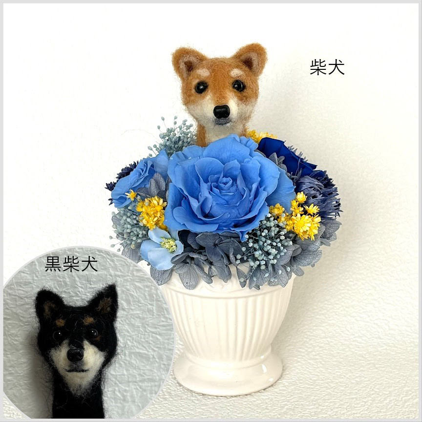 ちょこんと顔出す　柴犬(中央）＆　プリザーブドフラワー（ブルー系）/犬　ペット　羊毛フエルト　犬好き　花