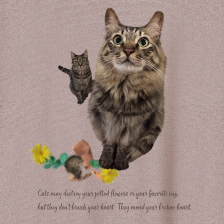 【ニュアンスカラー厚手12oz スウェット】