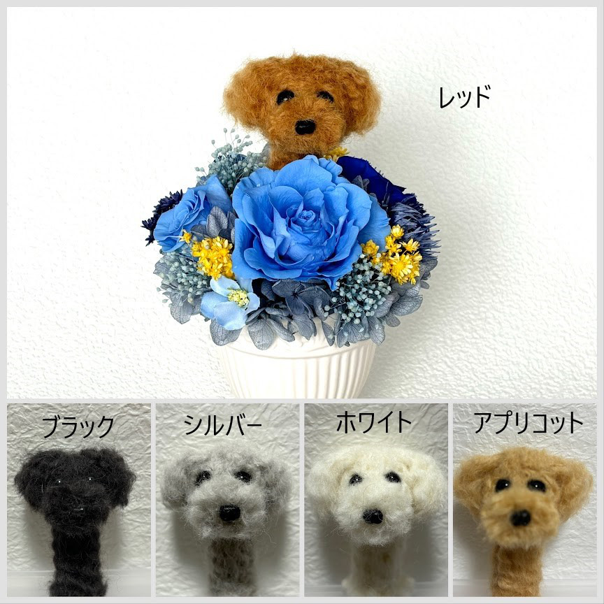 ちょこんと顔出す　トイプードル(中央）＆　プリザーブドフラワー（ブルー系）/犬　ペット　羊毛フエルト　犬好き　花