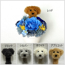 ちょこんと顔出す ダックスフンド（小さめサイズ）＆ プリザーブド