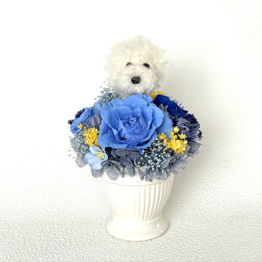 ちょこんと顔出す　ビションフリーゼ(中央）＆　プリザーブドフラワー（ブルー系）/犬　ペット　羊毛フエルト　犬好き　花