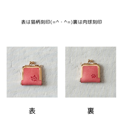  第3張的照片
