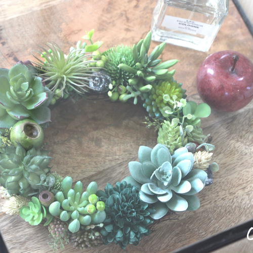 多肉リース A 多肉植物 couleur 通販 18248768｜Creema(クリーマ)